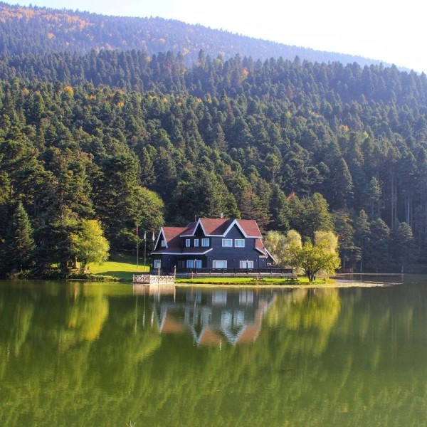 Bolu Turu